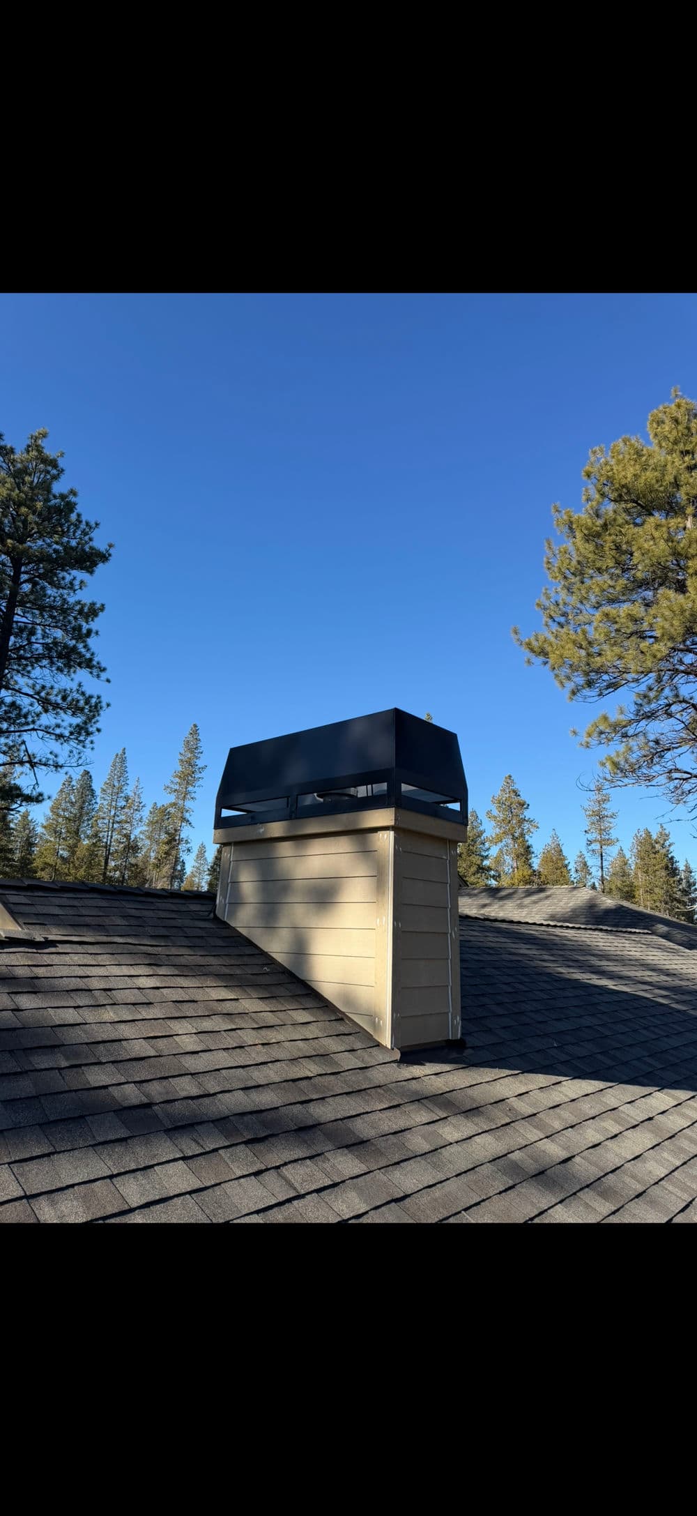 Chimney with a black cap on a sloped roof under a clear blue sky and pine trees.